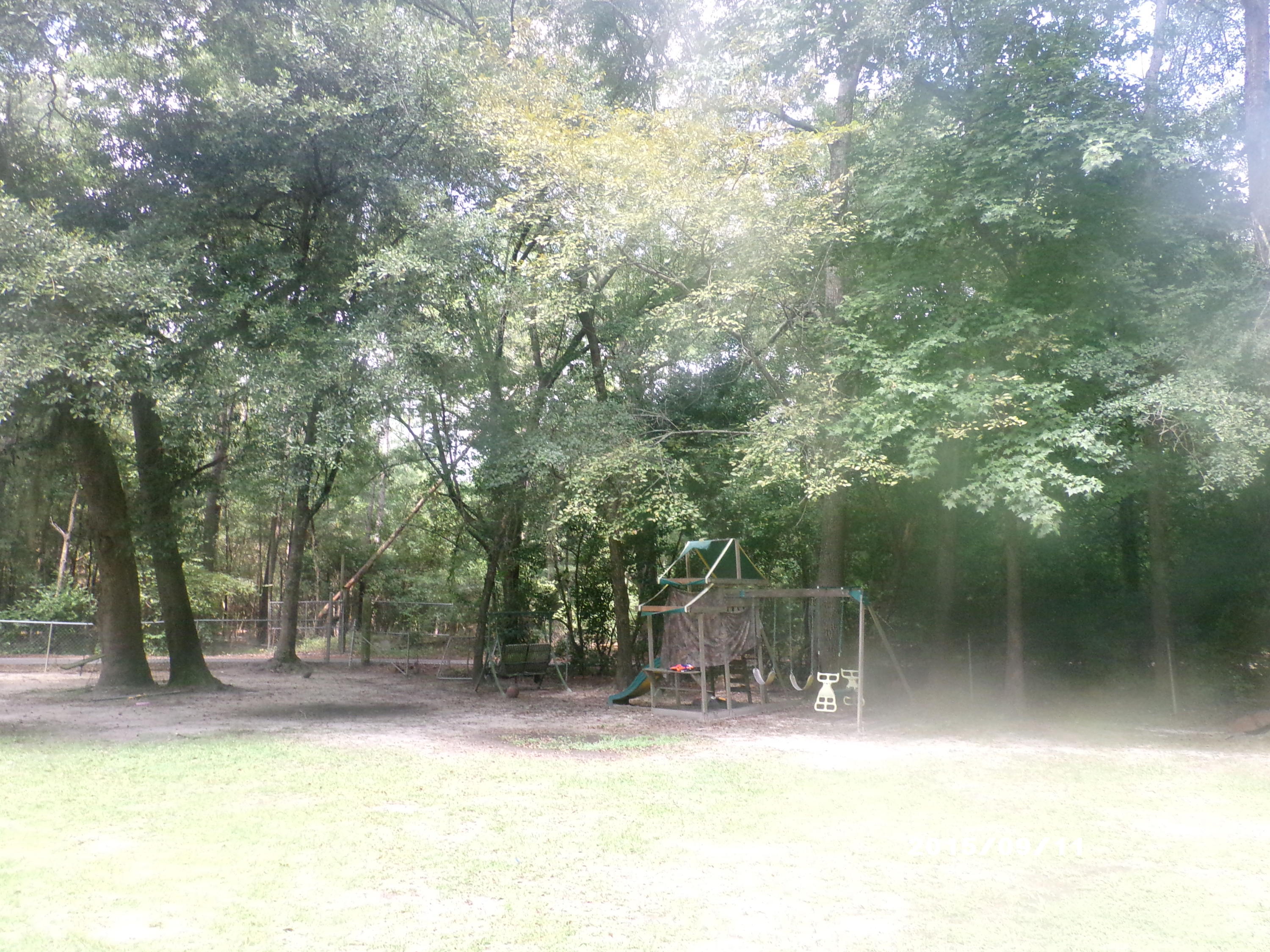 308 Pineland Road Walterboro, SC 29488 - Photo 15 of 15 GEDC4721