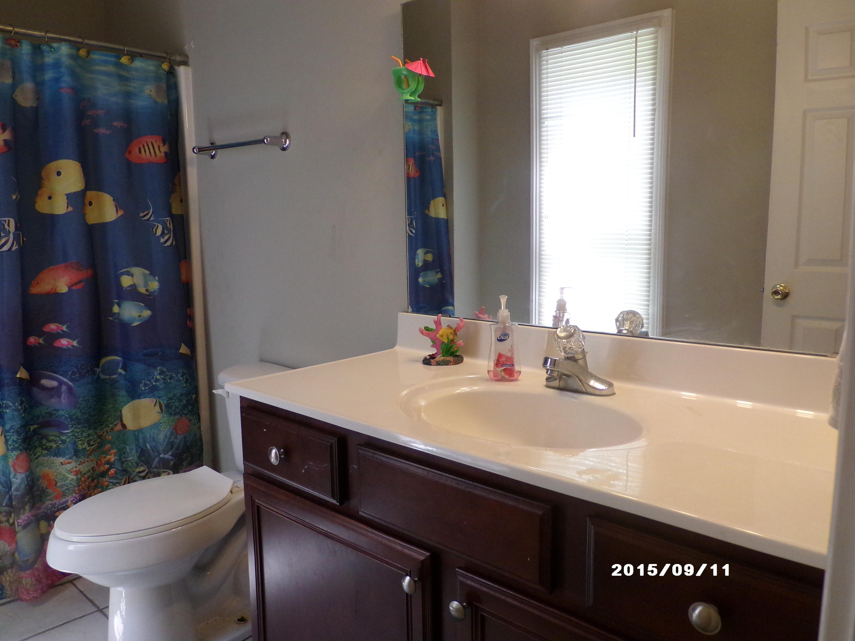 308 Pineland Road Walterboro, SC 29488 - Photo 10 of 15 GEDC4719