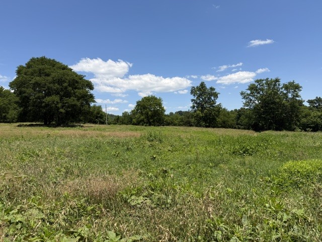 0 Delina Boonshill Road Petersburg, TN 37144 - Photo 2 of 3