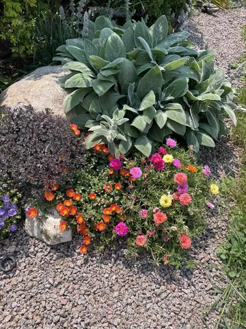 $574,000 | 28297 St Croix Road, Pine City, MN 55063