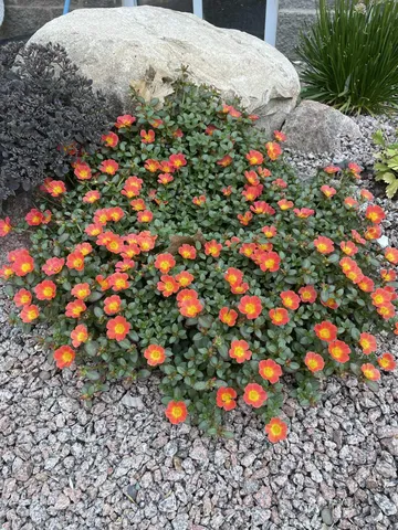 $574,000 | 28297 St Croix Road, Pine City, MN 55063