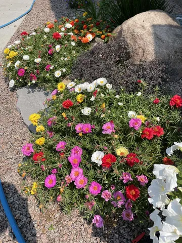 $574,000 | 28297 St Croix Road, Pine City, MN 55063