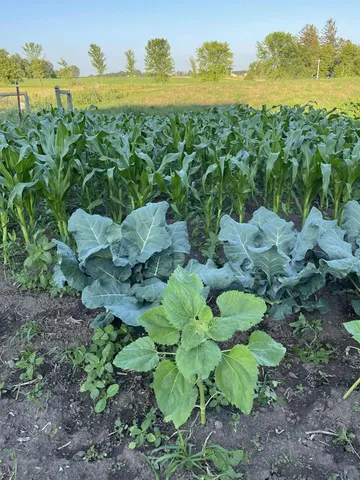 $574,000 | 28297 St Croix Road, Pine City, MN 55063