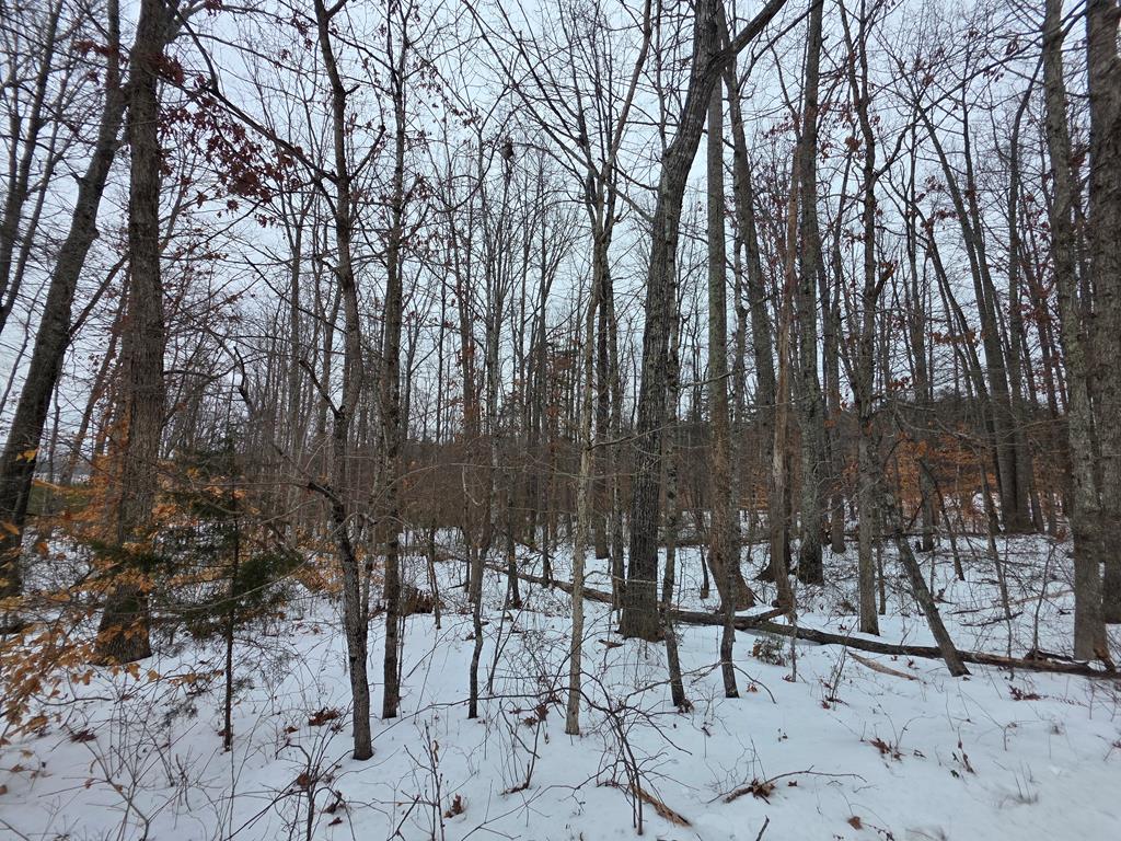 Piney Ridge Road Pamplin, VA 23958 - Photo 1 of 4 Gallery Image 1