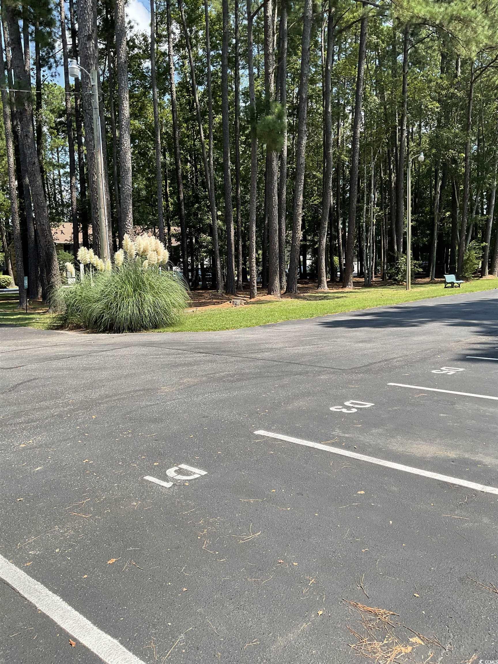 950 Forestbrook Road, Unit D4 Myrtle Beach, SC 29579 - Photo 3 of 12 Gallery Image 3
