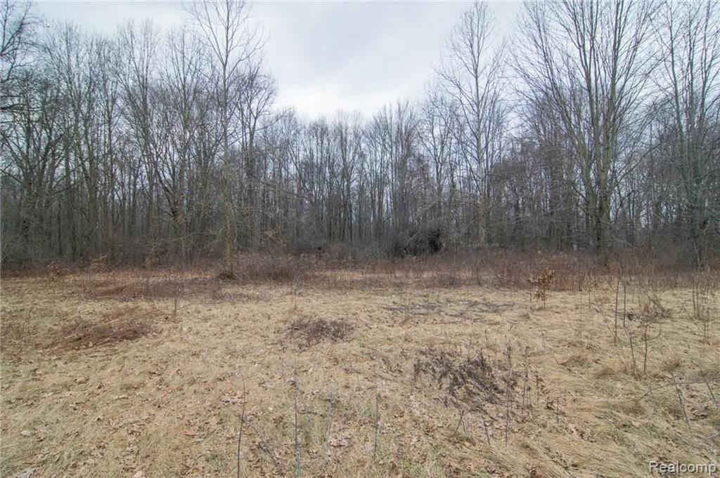 0 Tyler Romulus, MI 48174 - Photo 20 of 26