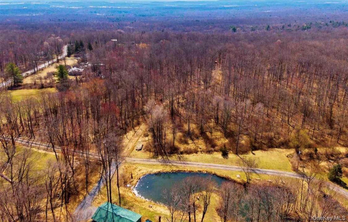 894 Upper Mountain Road Pine Bush, NY 12566 - Photo 21 of 35 Bird's eye view of a forest and a nearby body of water
