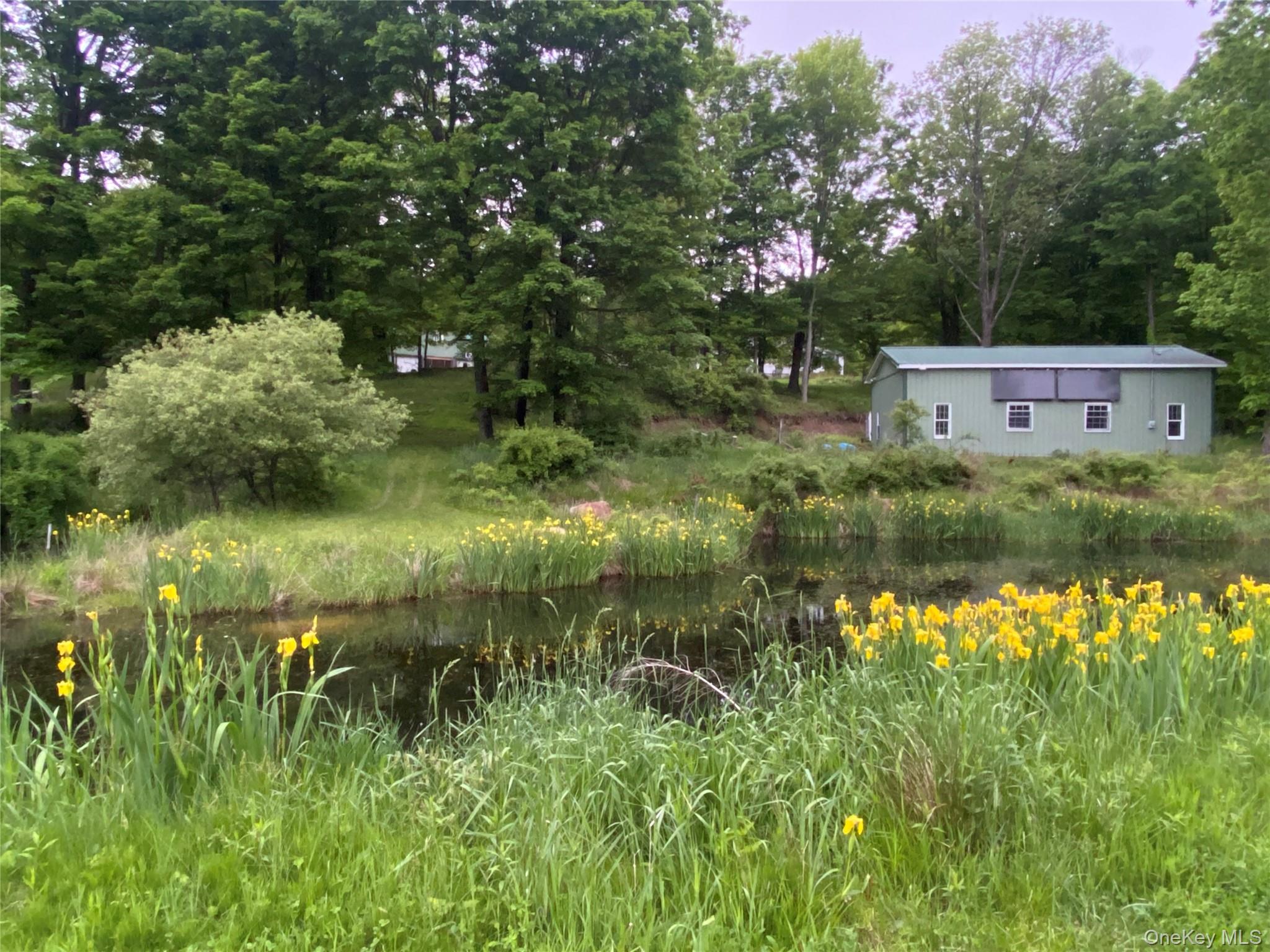 894 Upper Mountain Road Pine Bush, NY 12566 - Photo 23 of 35 View of yard featuring a water view