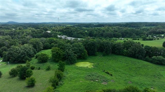 0 Ray Houchin Road Park City, KY 42160 - Photo 3 of 4