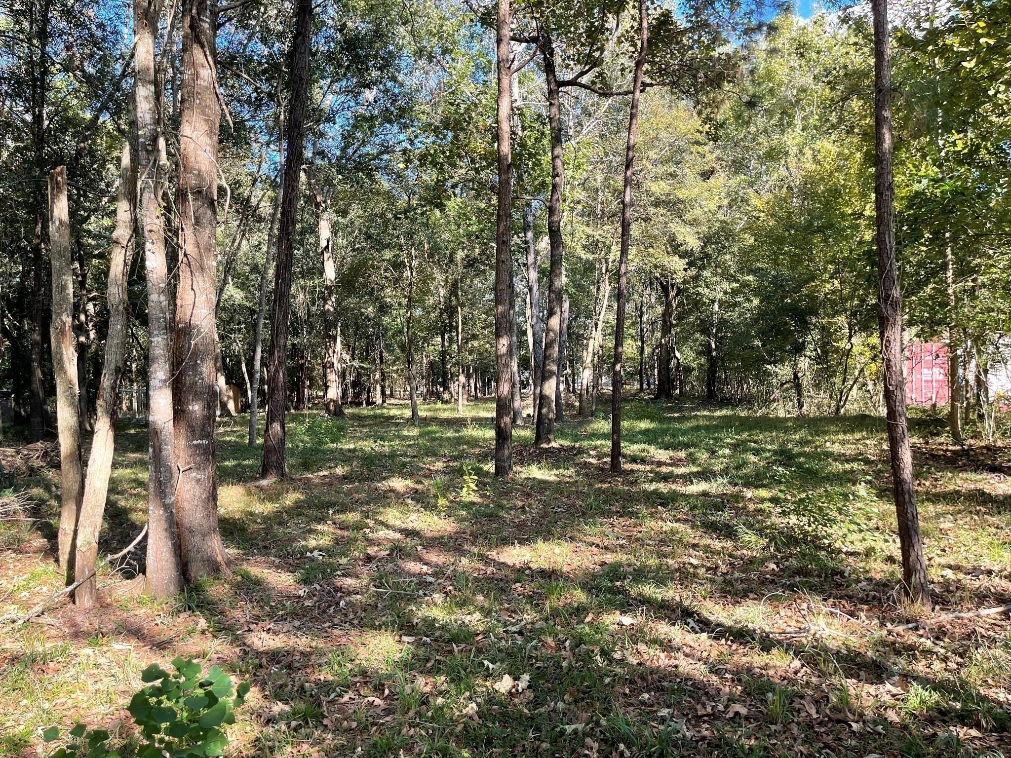 0 Calvin Road Huffman, TX 77336 - Photo 2 of 6 a view of yard