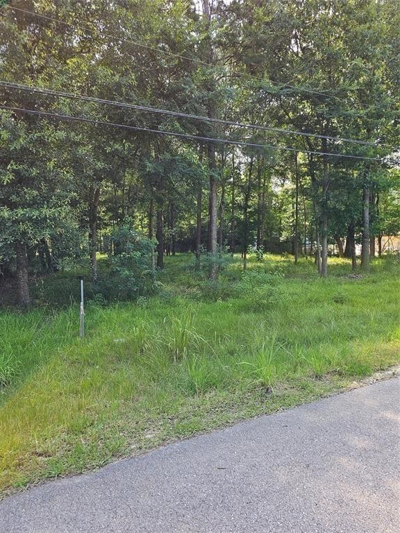 0 Calvin Road Huffman, TX 77336 - Photo 3 of 6 a view of a park with large trees