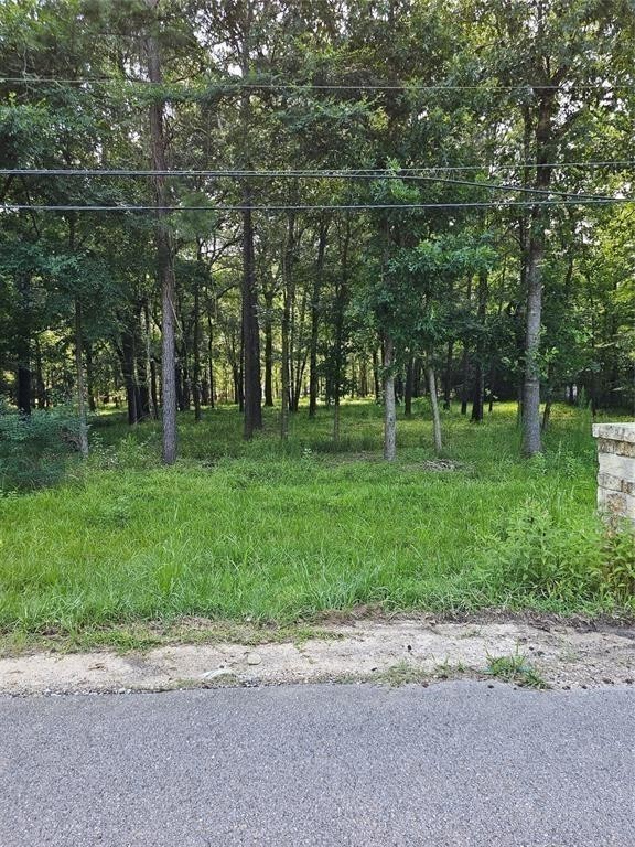 0 Calvin Road Huffman, TX 77336 - Photo 4 of 6 a view of a park with large trees