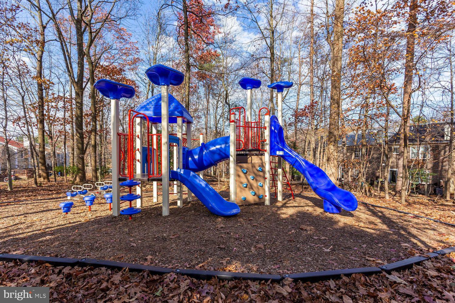 304 Crescendo Way Silver Spring, MD 20901 - Photo 30 of 30