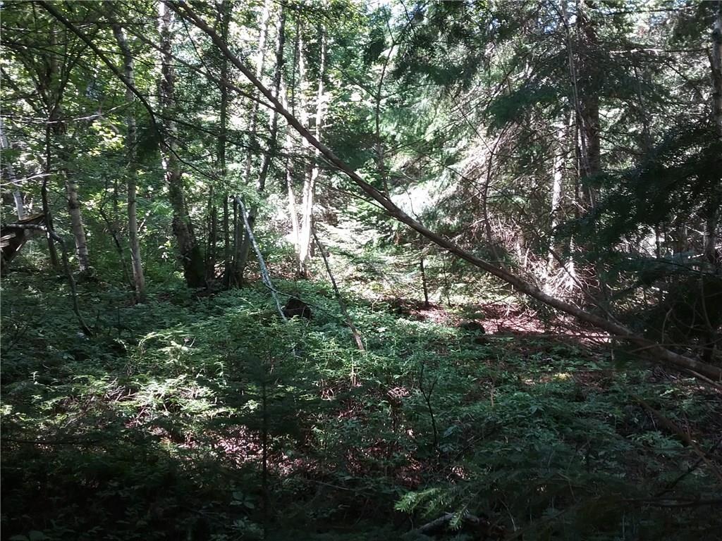 Lot 43 Overlook Road Sandy River Plt, ME 04970 - Photo 2 of 8 Photo
