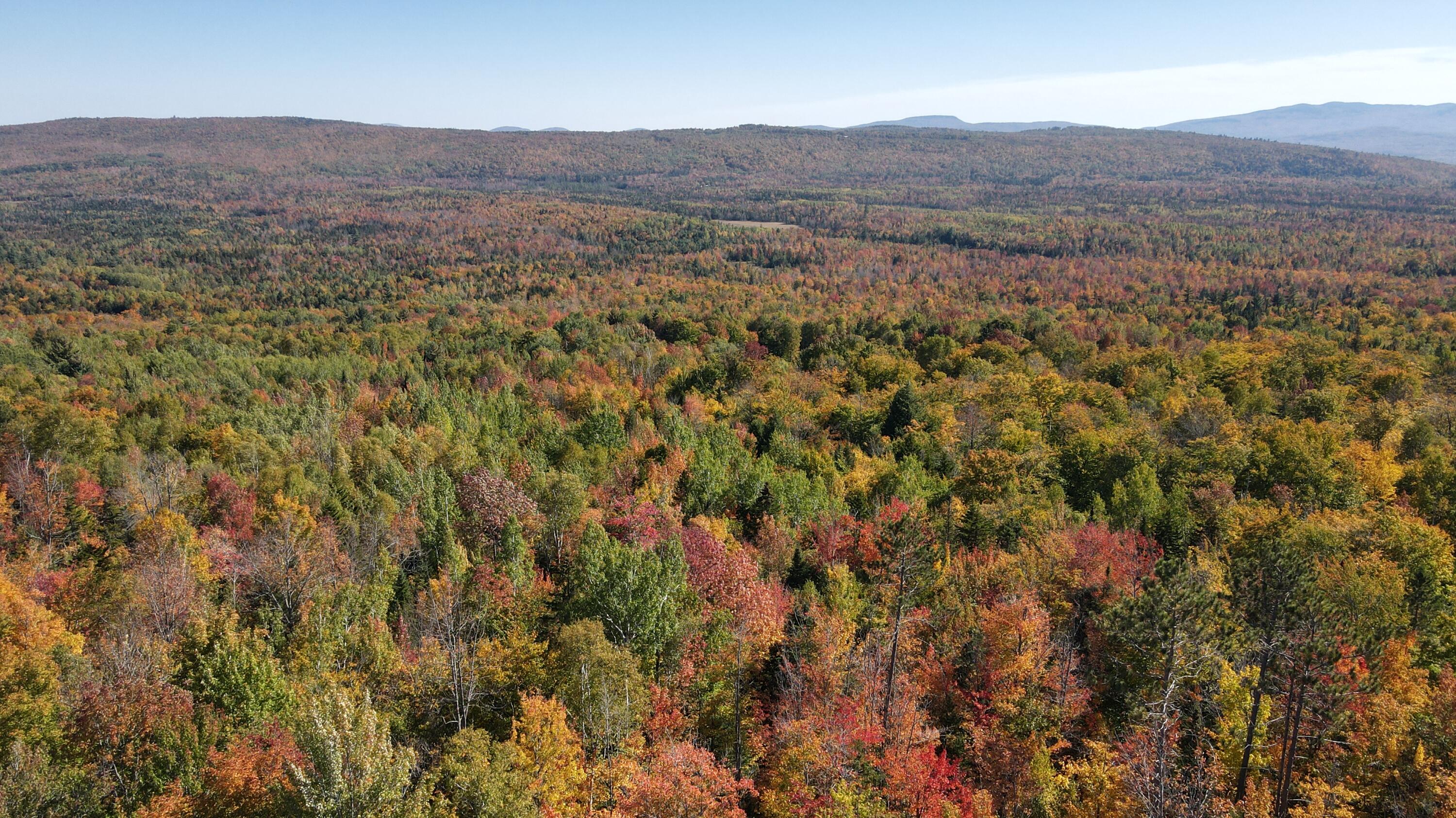 43 Bray Hill Road Phillips, ME 04966 - Photo 11 of 23 DJI_0929