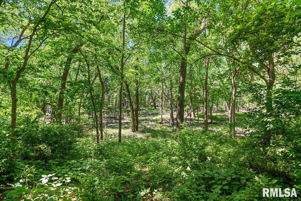 47 Woodland Trail Rochester, IL 62563 - Photo 65 of 96