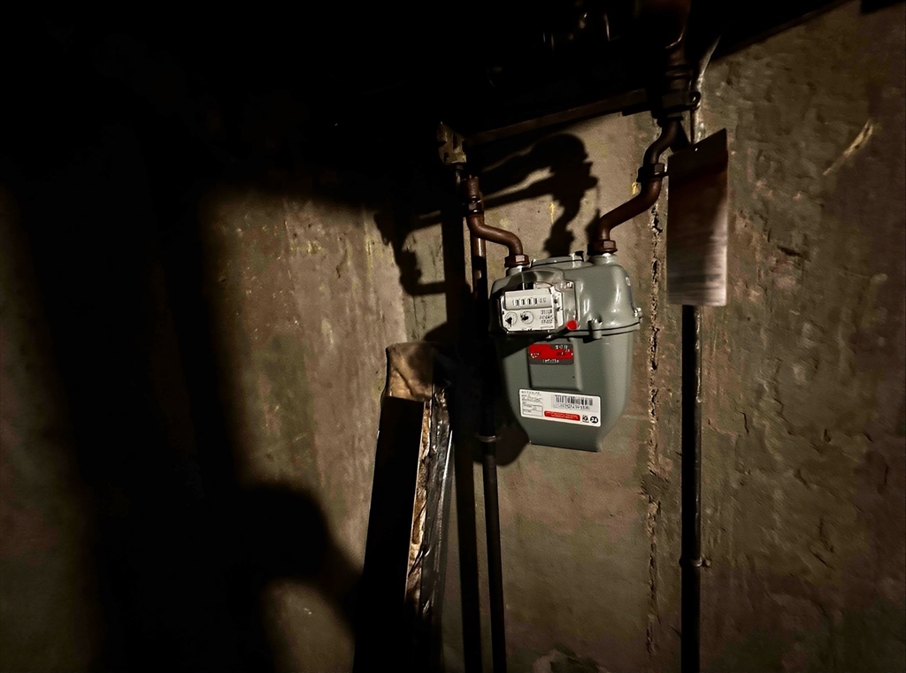 22 Corman Road Boston, MA 02126 - Photo 28 of 29 a view of water heater room