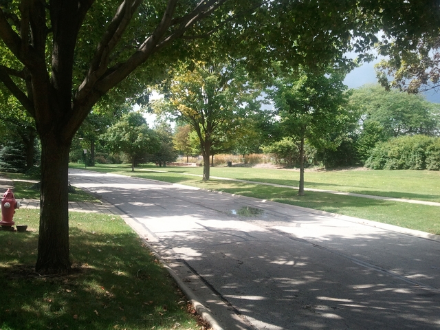 585 West Parkway Road Riverside, IL 60546 - Photo 13 of 14