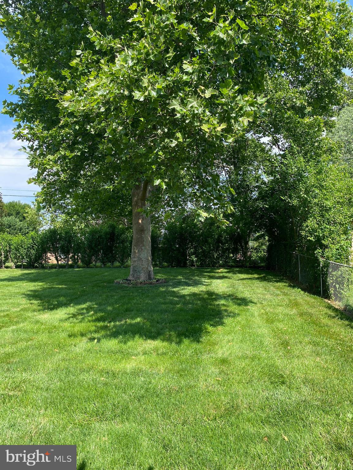 13343 Keener Road Hagerstown, MD 21742 - Photo 10 of 56 a view of a grassy field with trees