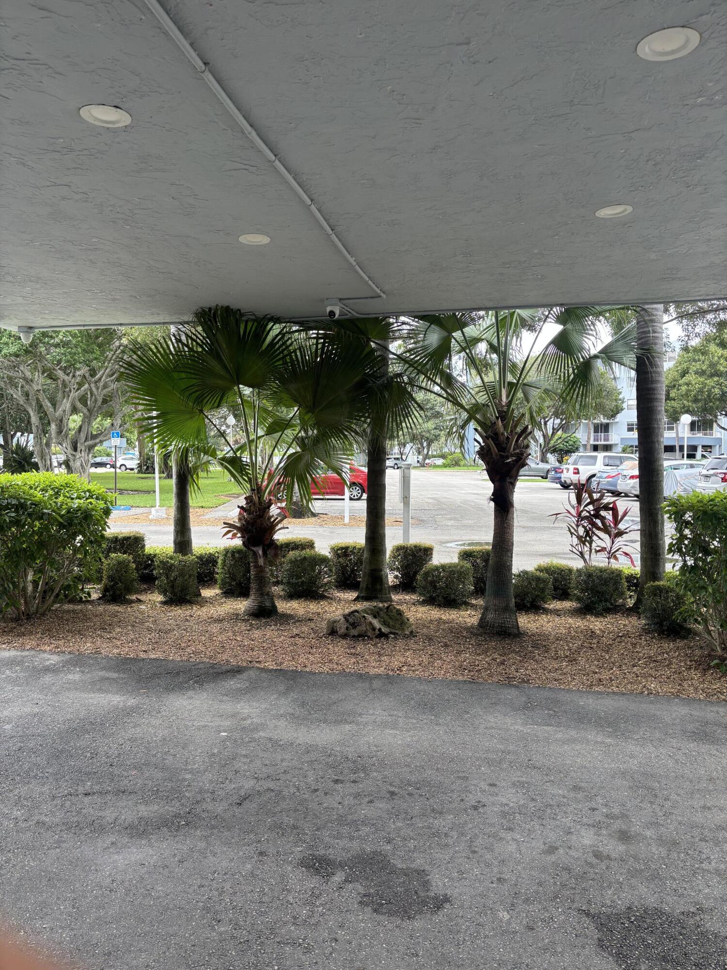 480 Executive Center Drive, Unit 2C West Palm Beach, FL 33401 - Photo 18 of 18 a view of a street with potted plants and large tree