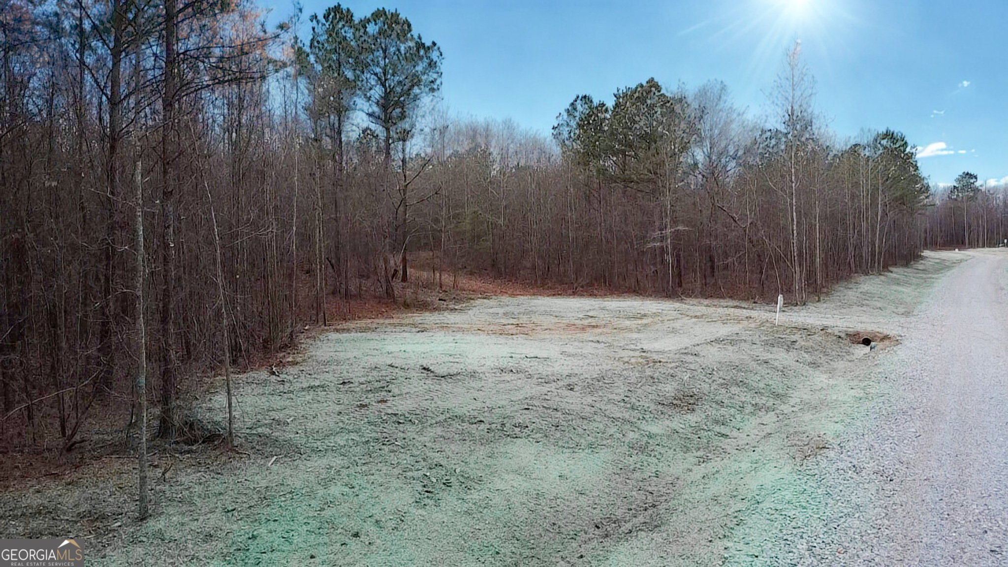 144 Berry Road, Unit LOT 13 Barnesville, GA 30204 - Photo 3 of 12 a view of wall with trees