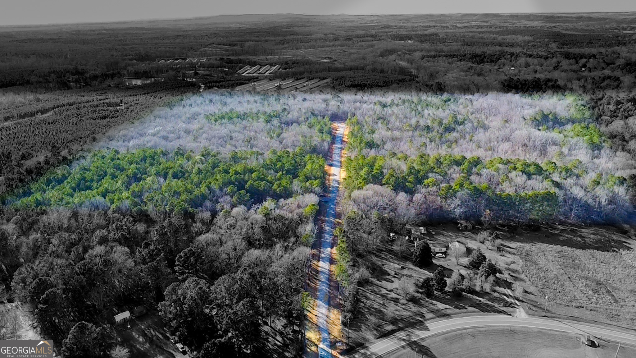 144 Berry Road, Unit LOT 13 Barnesville, GA 30204 - Photo 9 of 12 a view of a yard with lots of plants and trees