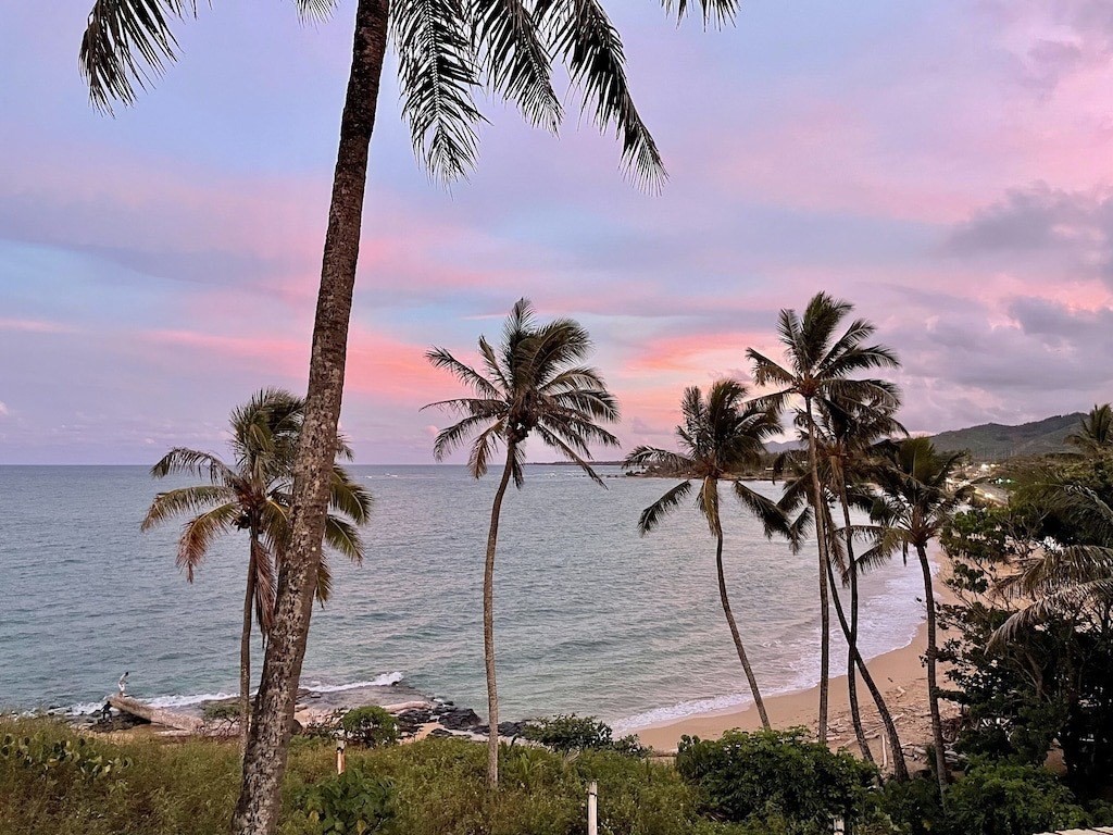 320 Papaloa Road, Unit 302 Kapaa, HI 96746 - Photo 4 of 16 a view of ocean with palm trees