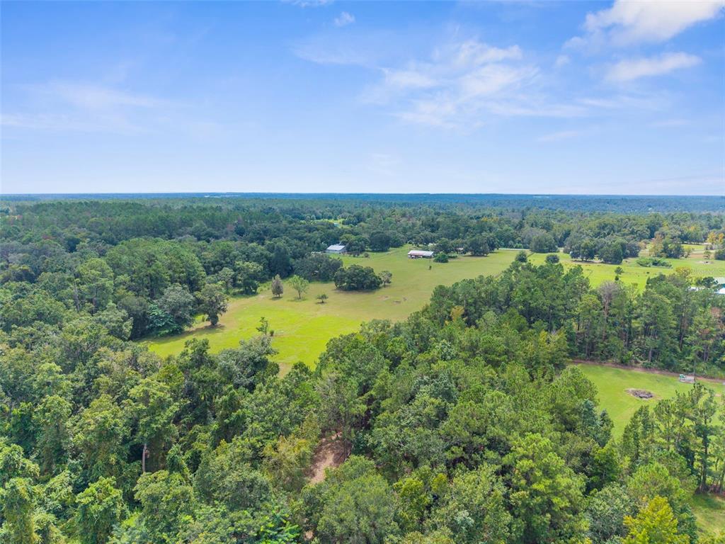 22249 Powell Road Brooksville, FL 34601 - Photo 6 of 43 a view of a lake with a yard