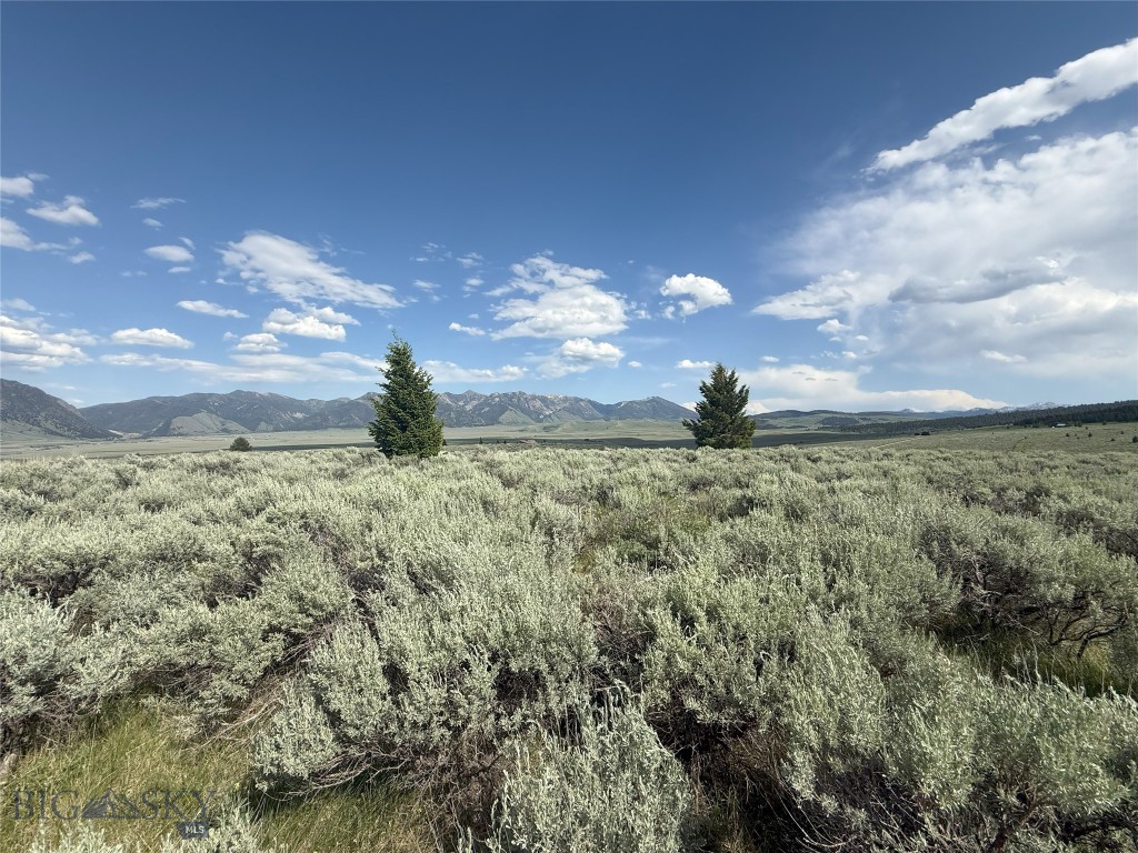 Tbd Tbd Madison River Ranch Cameron, MT 59720 - Photo 1 of 1 Looking south