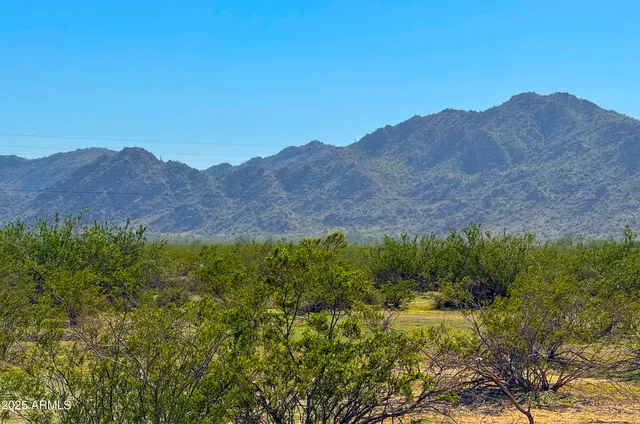 a view of a lush green field with mountains in the background