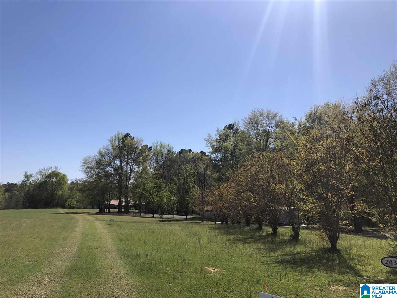 193 Brooks Road, Unit 2 Ragland, AL 35131 - Photo 17 of 47 Gallery Image 17