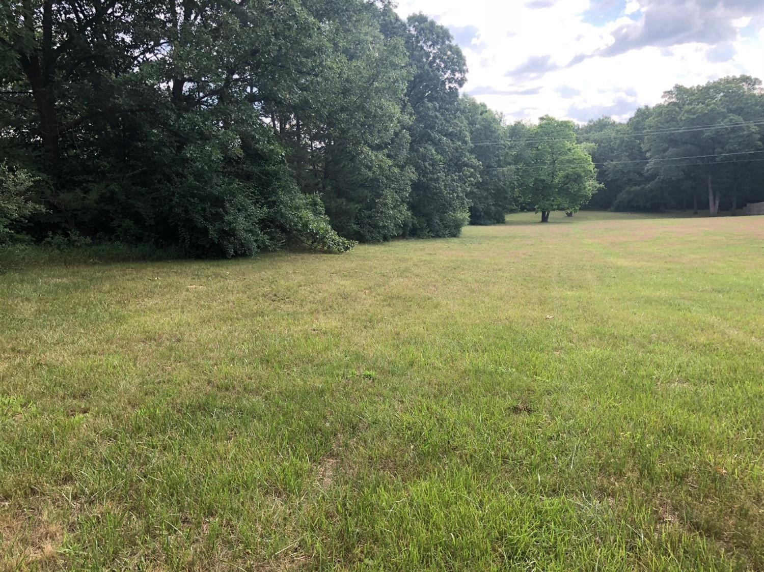 0 Munger Road Ypsilanti, MI 48197 - Photo 5 of 10 Photo 5