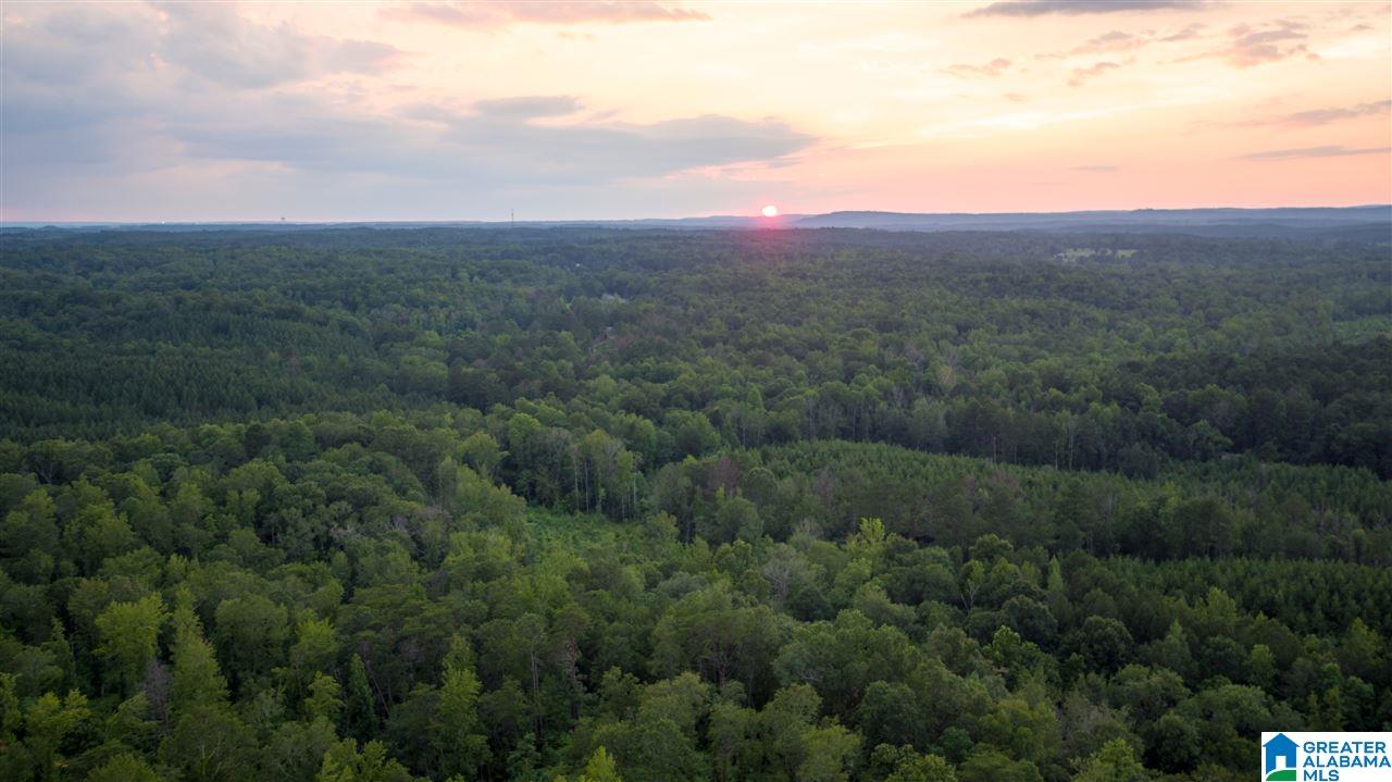 180 Gibson Road, Unit 76 / ACRES OFF GIBSON R Columbiana, AL 35051 - Photo 44 of 50