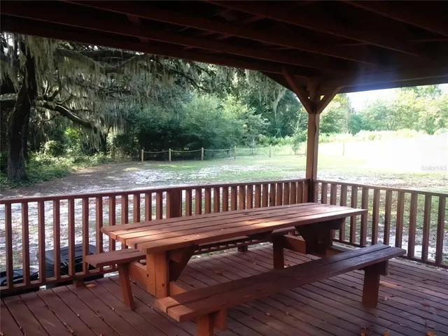 a view of a yard with a tree