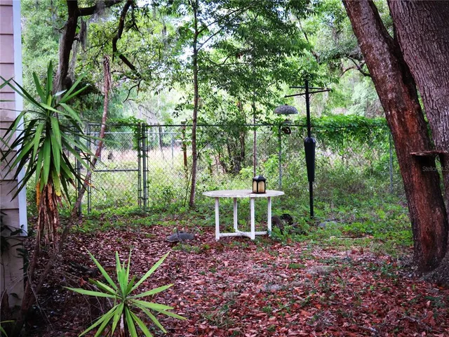 a view of outdoor space with trees all around