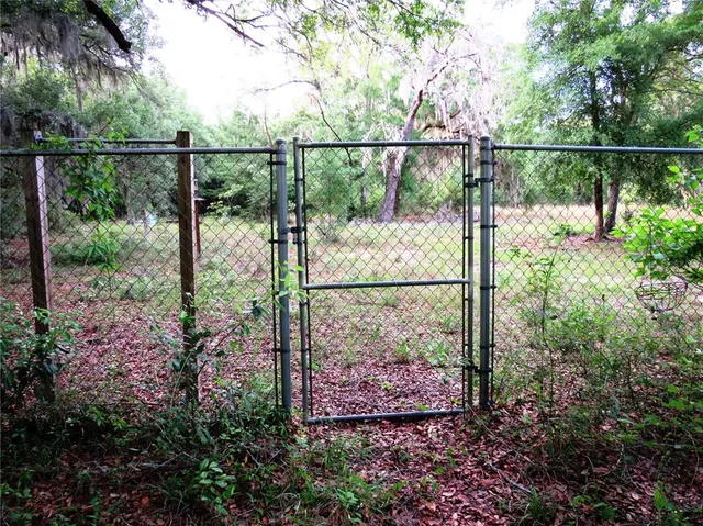 a view of a big yard with swimming pool and green space