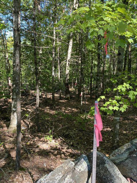 0 Libby Road, Unit LOT #9 West Newfield, ME 04095 - Photo 15 of 15 15