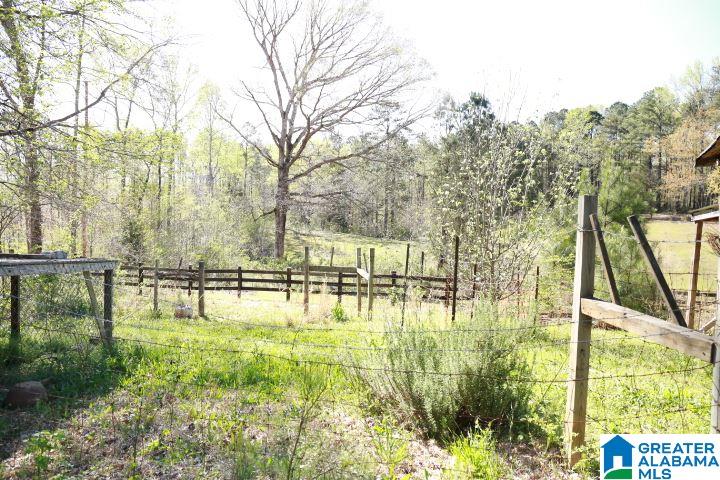 8581 Highway 10 Montevallo, AL 35115 - Photo 19 of 19