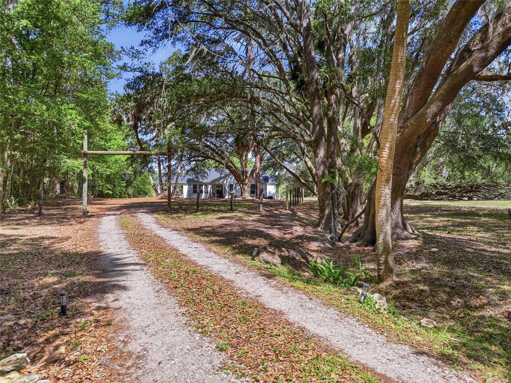 22130 Northwest 75th Avenue Road Micanopy, FL 32667 - Photo 5 of 52