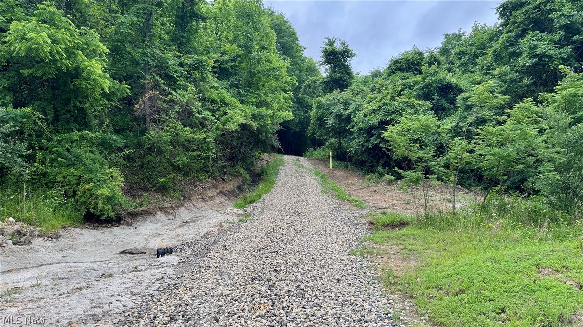 Marlott Run Road Kimbolton, OH 43749 - Photo 19 of 49