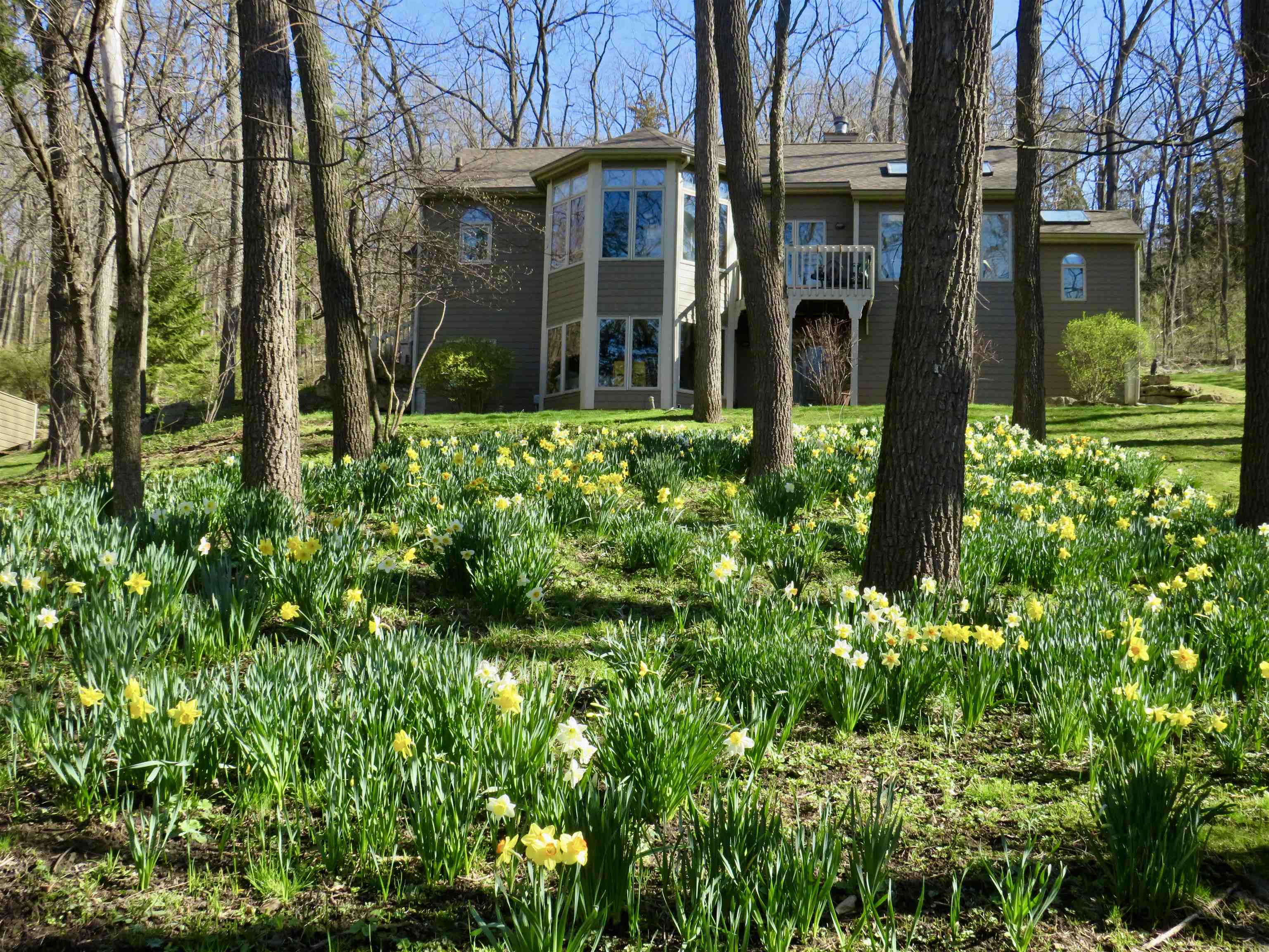 13 Heatherdowns Lane Galena, IL 61036 - Photo 42 of 46