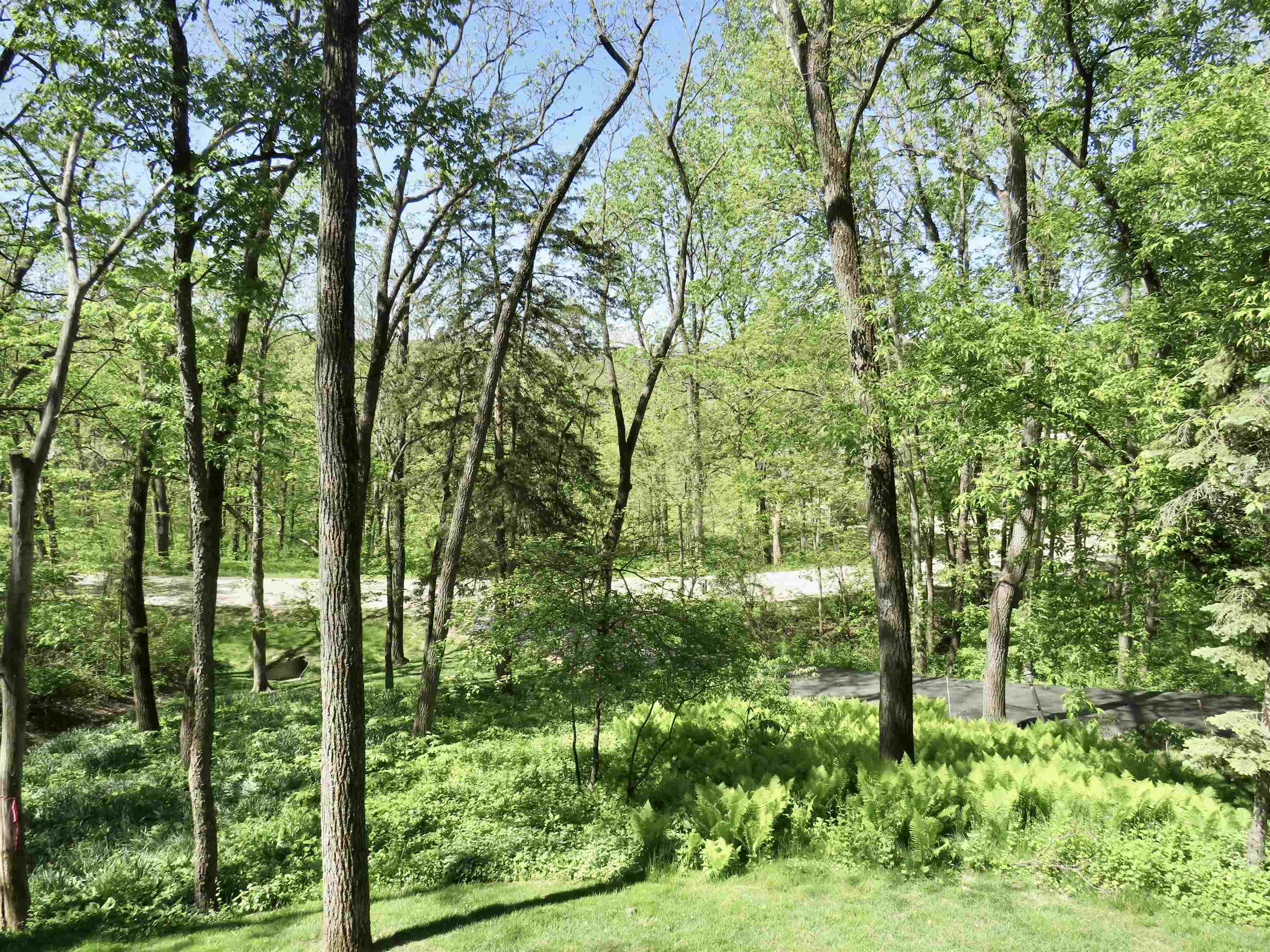 13 Heatherdowns Lane Galena, IL 61036 - Photo 44 of 46