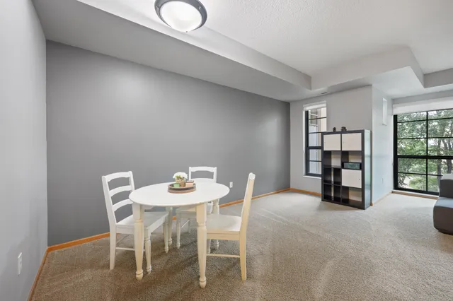 $234,000 | 2565 Franklin Avenue, Unit 313, St. Paul, MN 55114