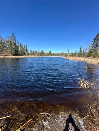 $450,000 | 307 Blackduck Mn 56630, Bemidji, MN 56601