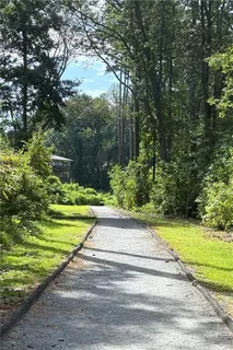 a view of park with large trees