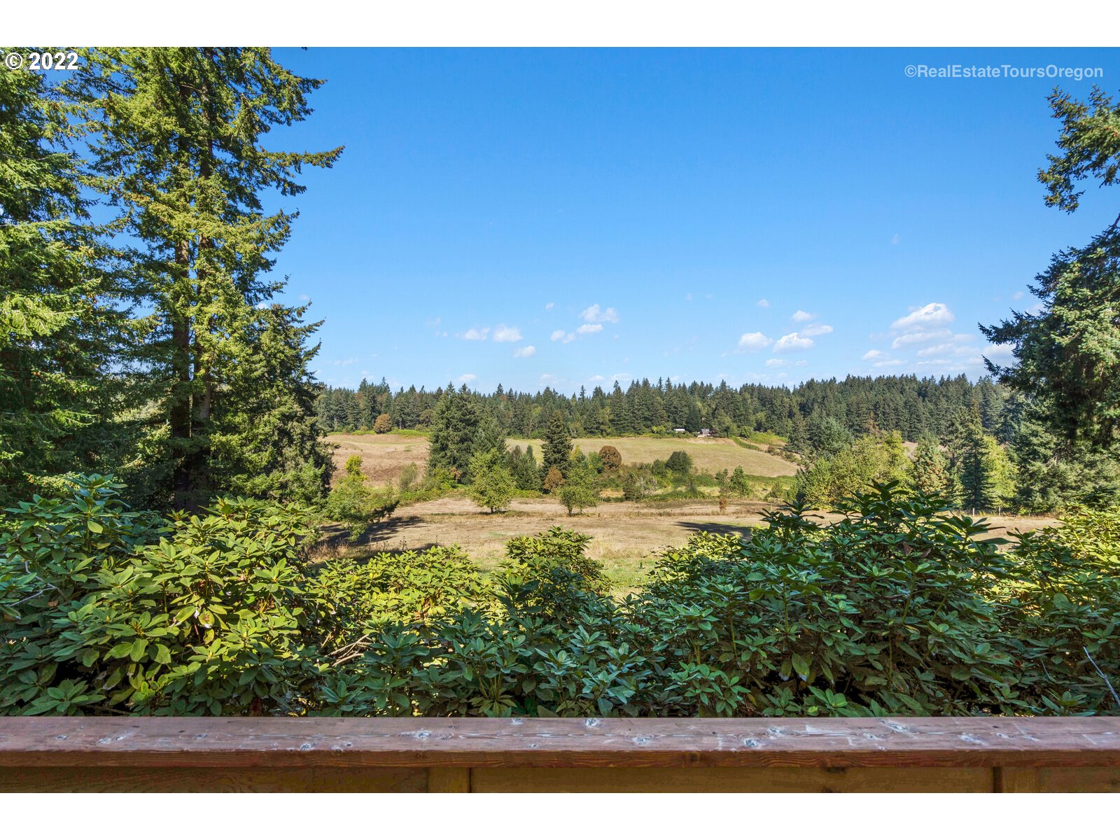12715 South Casto Road Oregon City, OR 97045 - Photo 31 of 32 a view of lake with mountain in the background