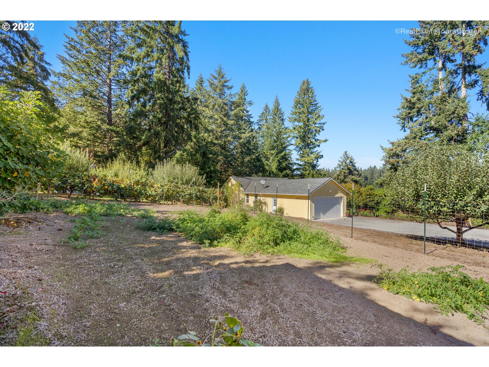 12715 South Casto Road Oregon City, OR 97045 - Photo 4 of 32 a view of a yard with a tree