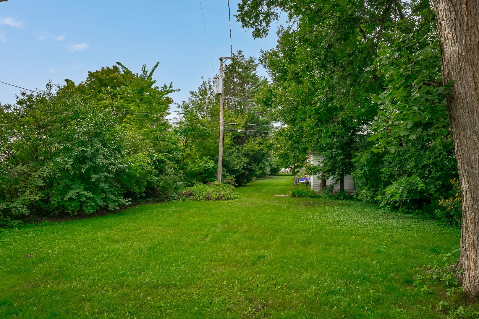 110 Pine Street Elmhurst, IL 60126 - Photo 7 of 7 a view of a lush green space