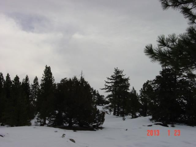 197 Clouds Rest Portola, CA 96122 - Photo 2 of 5 Gallery Image 2