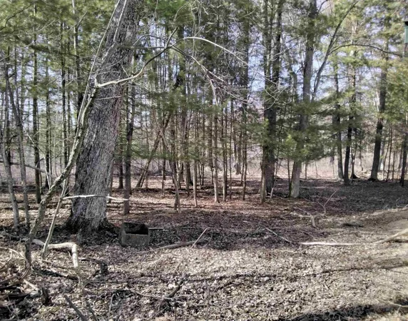 $89,900 | W1080 Dover Road, Neshkoro, WI 54960